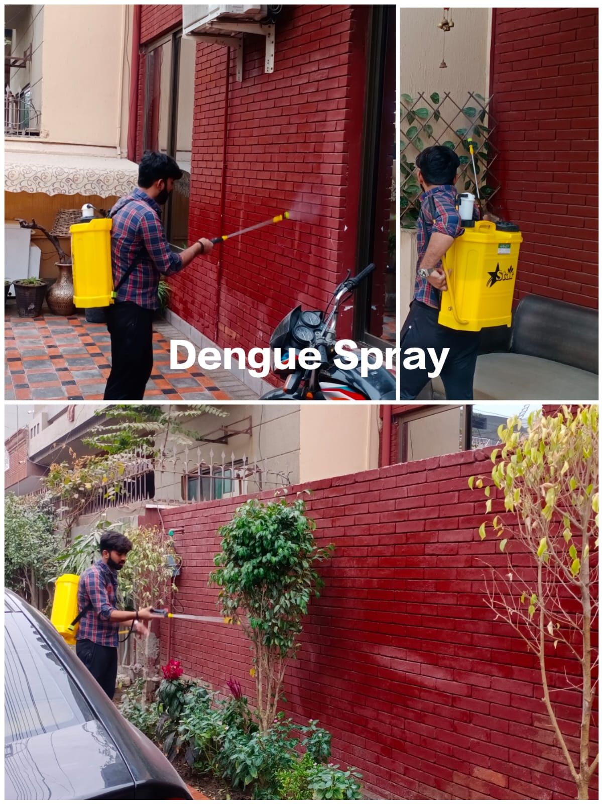 Dengue Spray