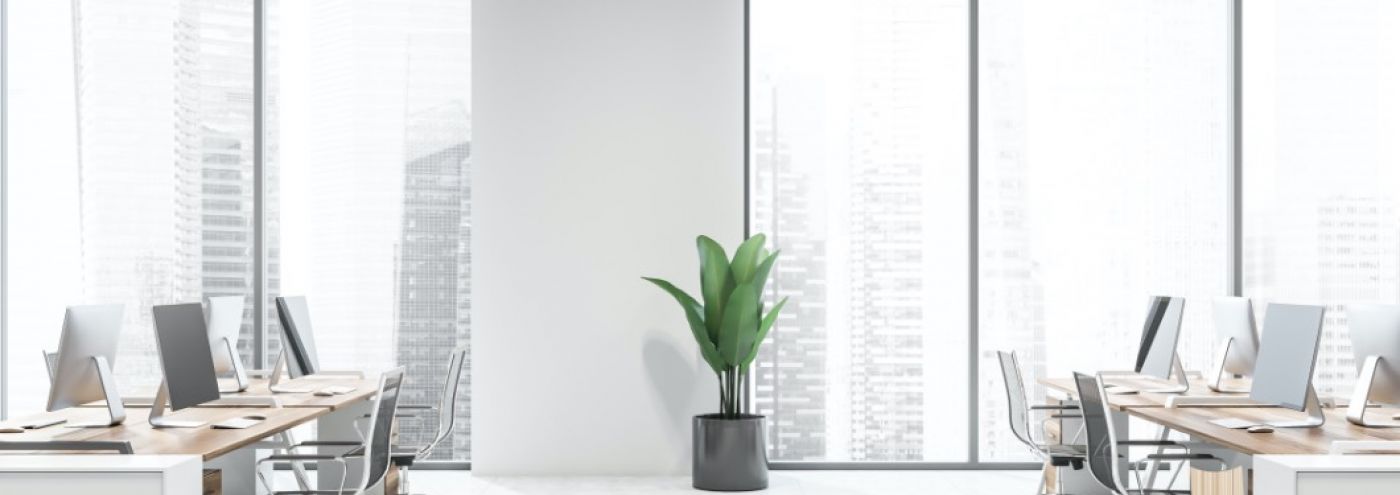 Office Cleaning Service