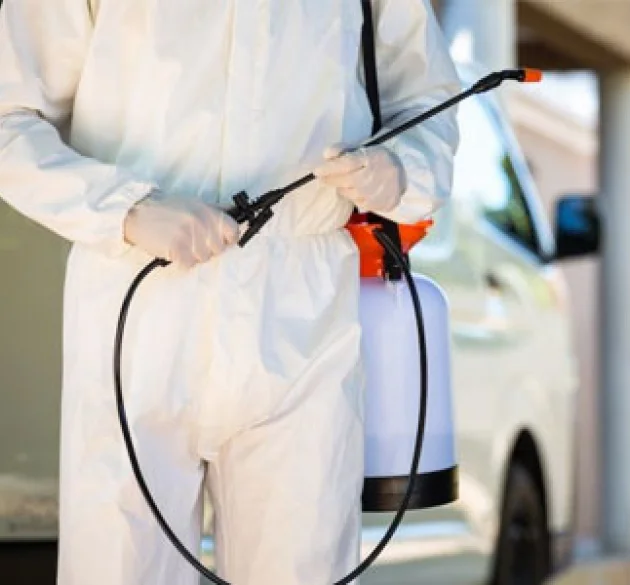Pest Control & Disinfection